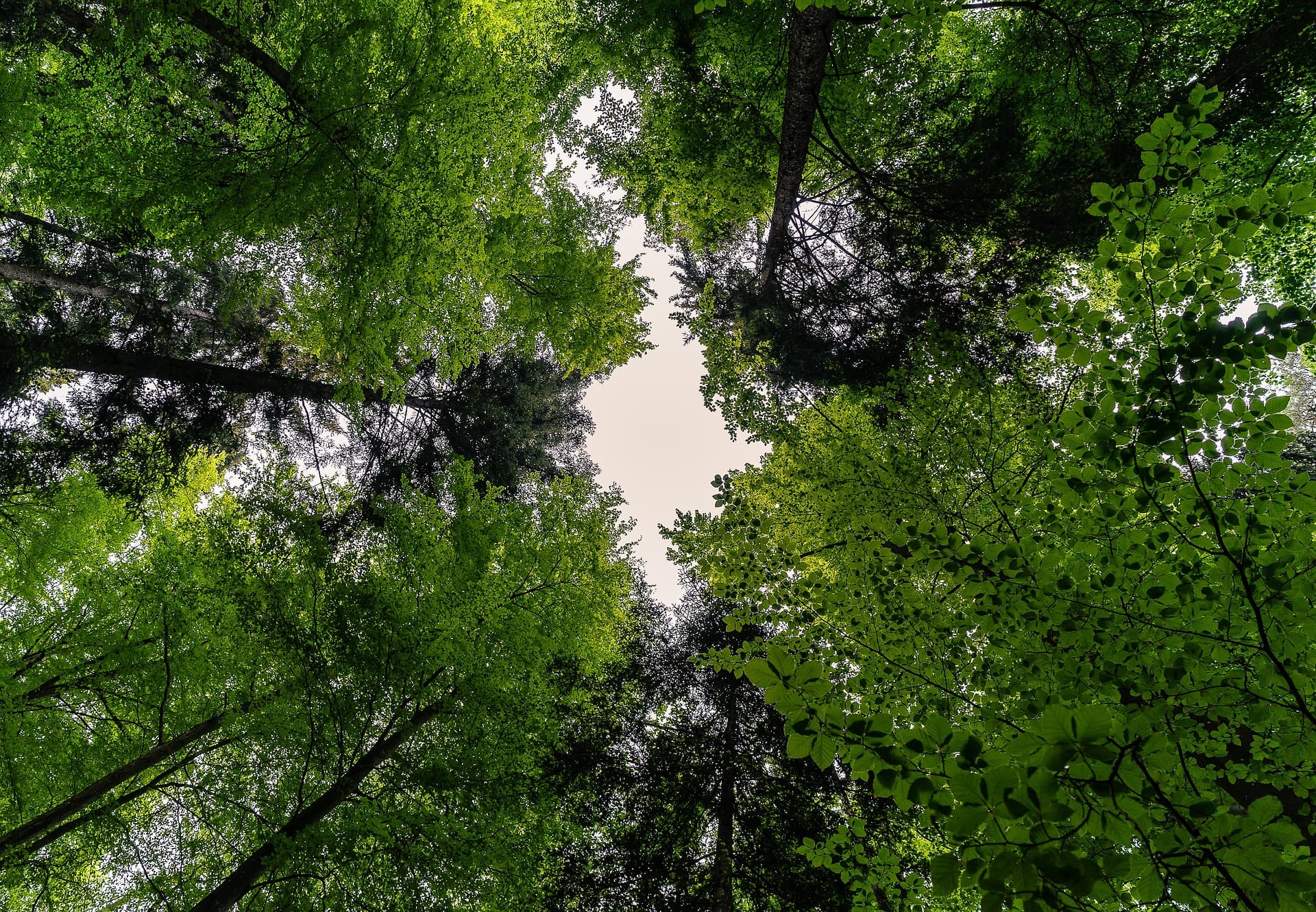 Banner Image 3